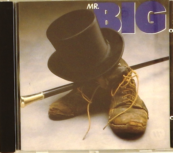cd-диск Mr. Big (CD)