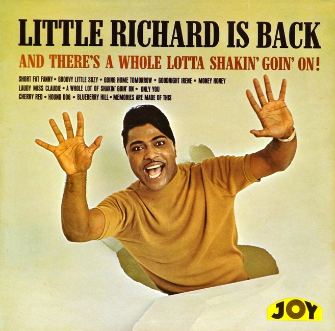 виниловая пластинка Little Richard Is Back (Звук ближе к отличному!)