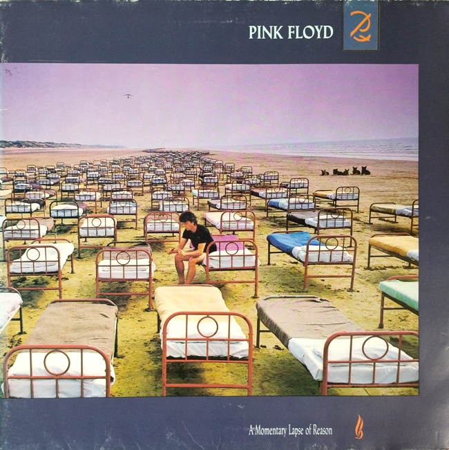 виниловая пластинка A Momentary Lapse of Reason
