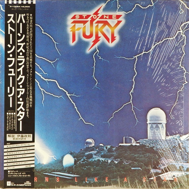 виниловая пластинка Burns like a Star