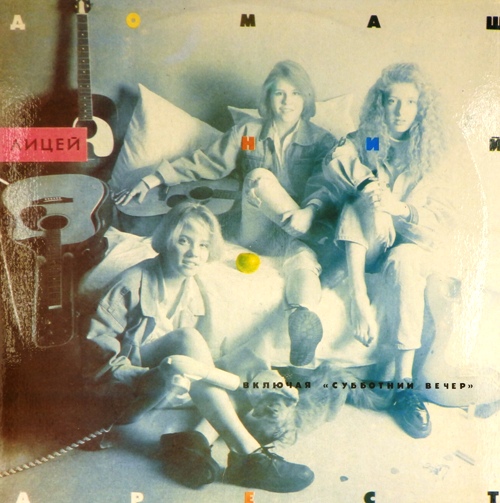 виниловая пластинка Домашний арест