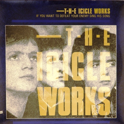 виниловая пластинка If You Want to Defeat Your Enemy Sing His Song