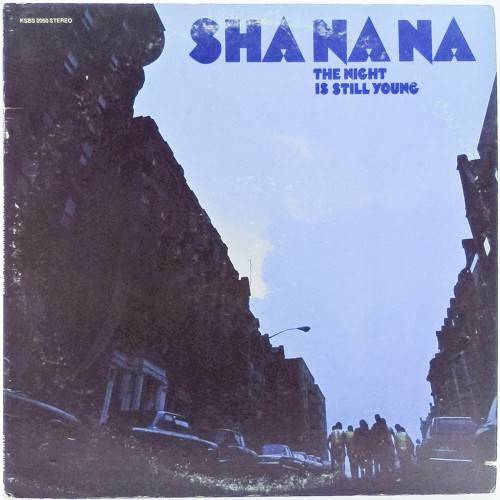 виниловая пластинка The Night Is Still Young