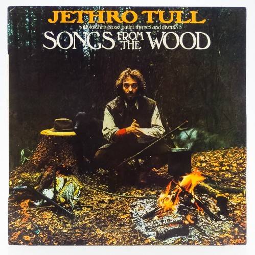 виниловая пластинка Songs from the Wood