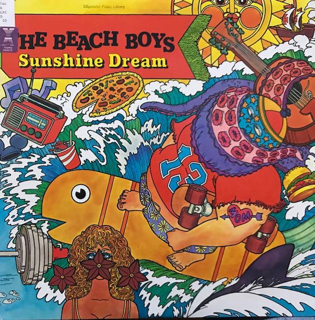 виниловая пластинка Sunshine Dream ( 2 LP )