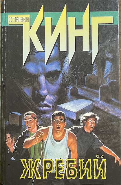 книга Жребий