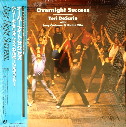 виниловая пластинка Overnight Success