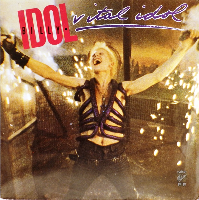 виниловая пластинка Vital Idol
