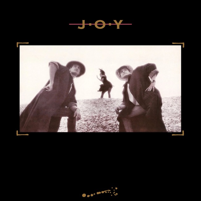 виниловая пластинка Joy