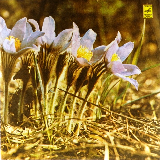 виниловая пластинка Мисс Разлука (звук приближен к хорошему!)