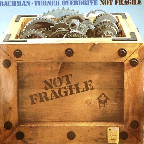 виниловая пластинка Not Fragile