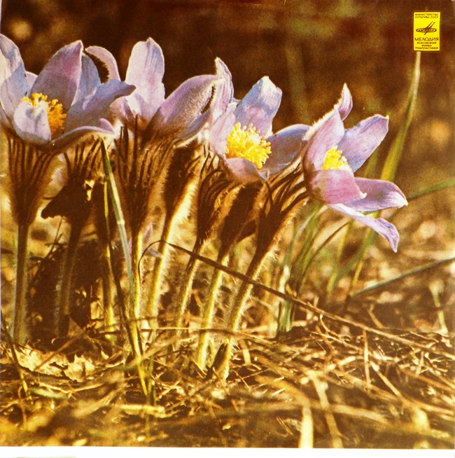 виниловая пластинка Распахни свое сердце