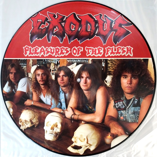 виниловая пластинка Pleasures of the Flesh (Picture disc)