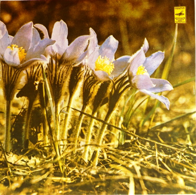 виниловая пластинка Распахни свое сердце