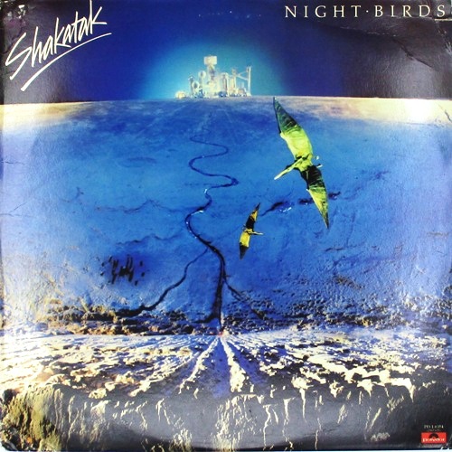 виниловая пластинка Night Birds