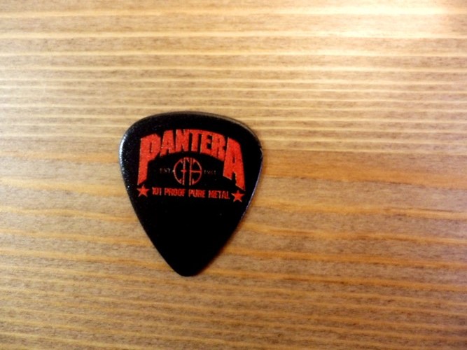 товар для музыкантов Pantera