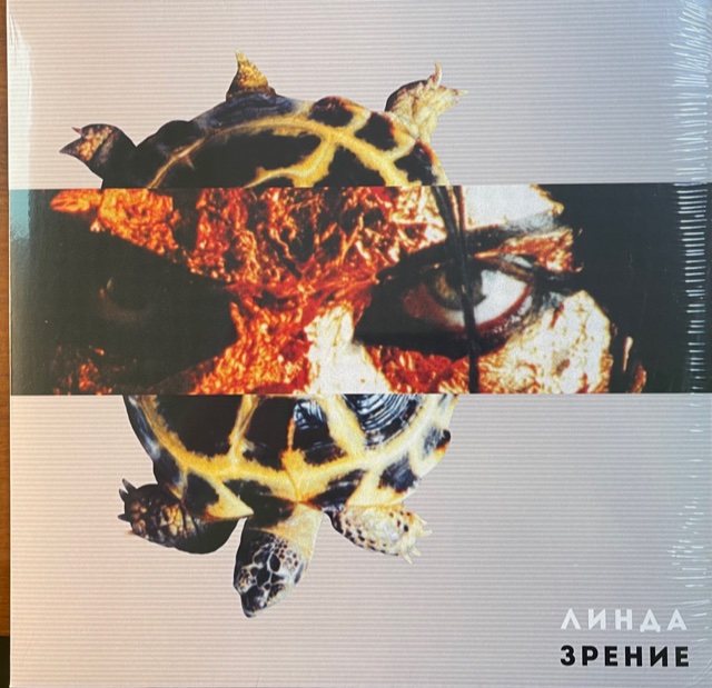 виниловая пластинка Зрение
