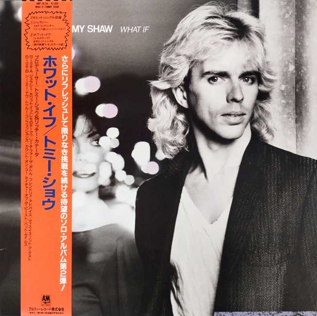 виниловая пластинка What If (Отличный звук!)