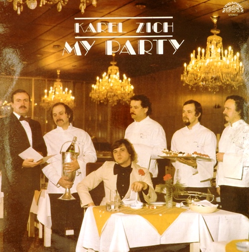 виниловая пластинка My Party