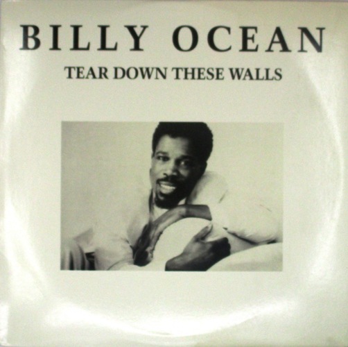 виниловая пластинка Tear Down These Walls