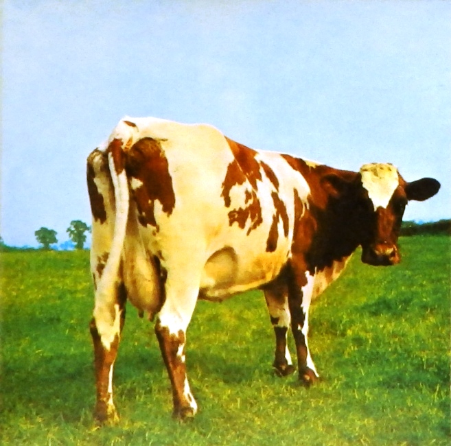 cd-диск Atom Heart Mother (CD + DVD)