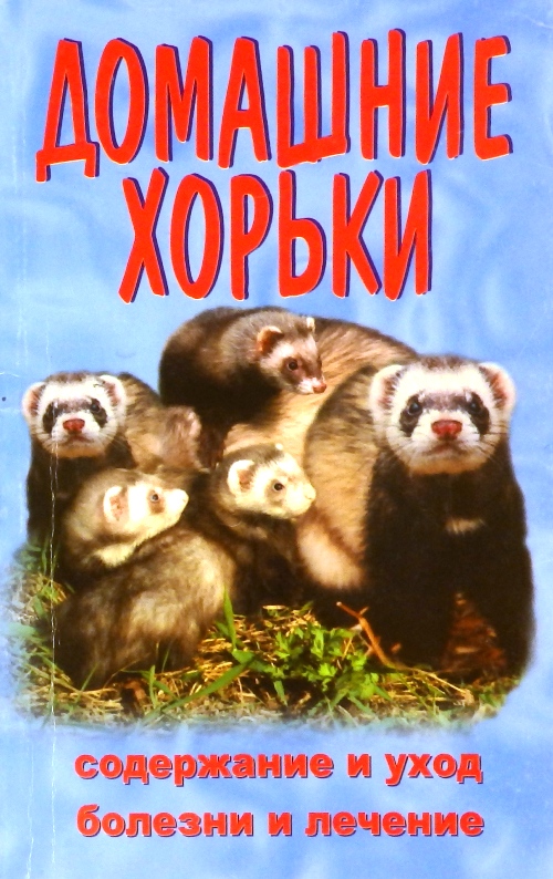 книга Домашние хорьки