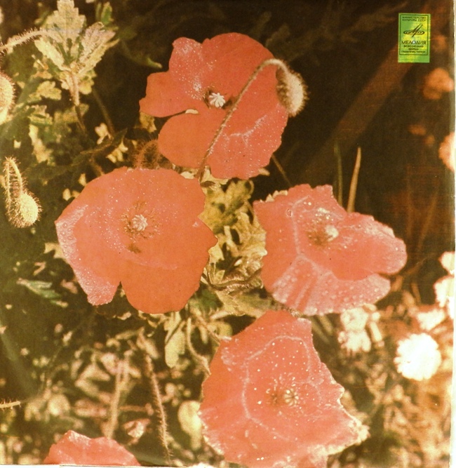 виниловая пластинка Пётр Ильич Чайковский. Симфония №6 си минор, соч. 74 (Патетическая)