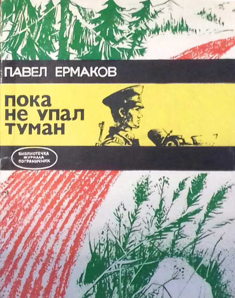 книга Пока не упал туман