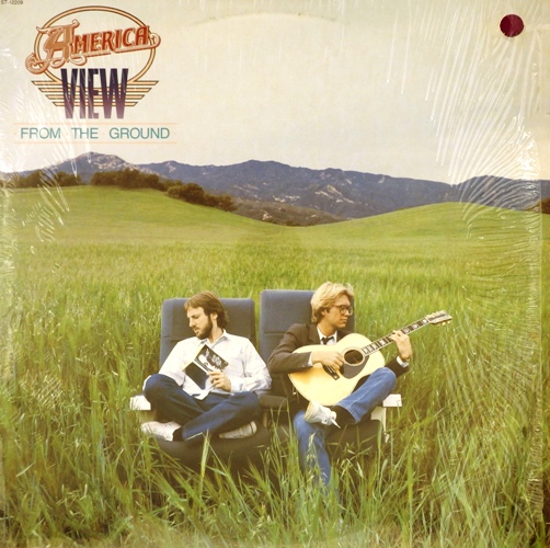 виниловая пластинка View from the ground