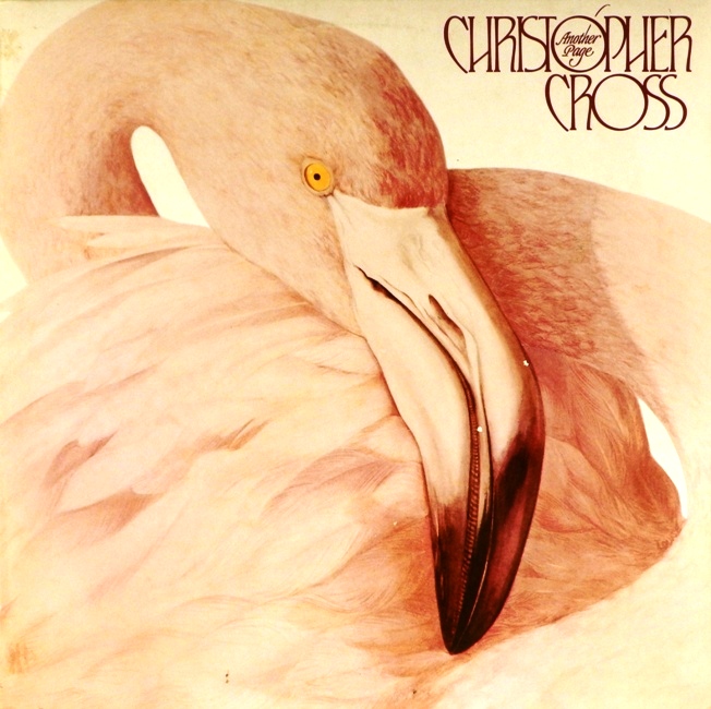 виниловая пластинка Another Page