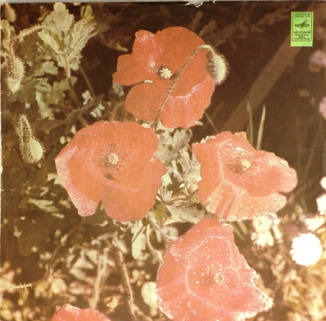 виниловая пластинка Песни советских композиторов (отличный звук!)