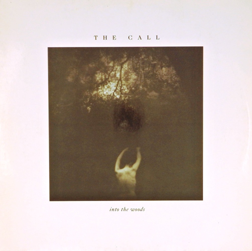 виниловая пластинка Into the Woods