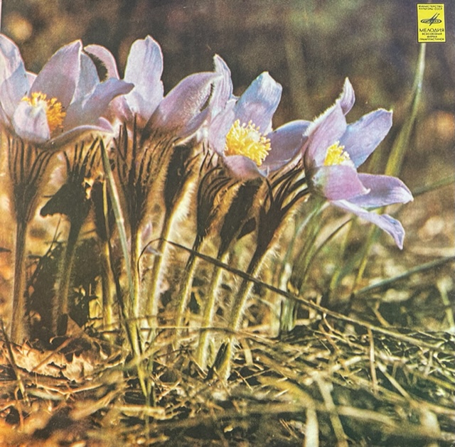 виниловая пластинка Песни и романсы минувших лет (Звёзды русской эстрады)