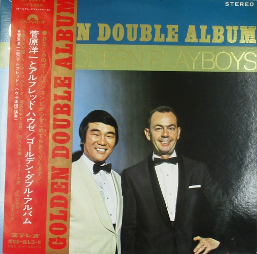 виниловая пластинка Golden Double Album (1 пластинка из 2-х)