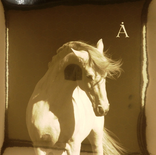 виниловая пластинка Лошадь белая