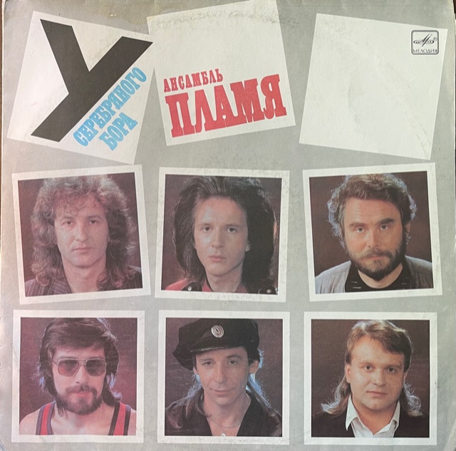 виниловая пластинка У серебряного бора