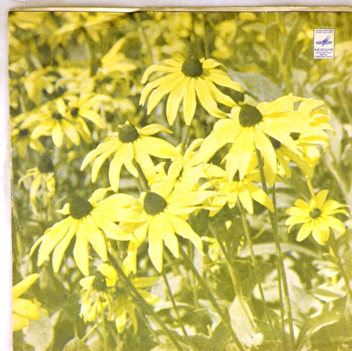 виниловая пластинка Пётр Ильич Чайковский. Симфония №6 си минор, соч. 74 (Патетическая)