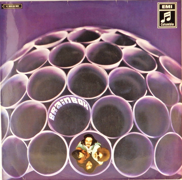 виниловая пластинка Brainbox