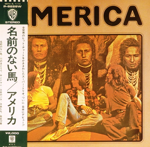 виниловая пластинка America