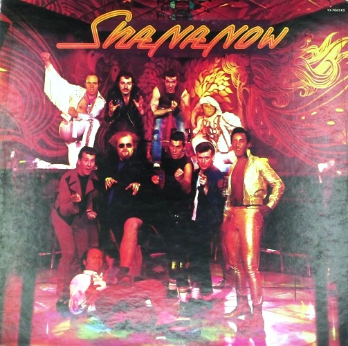 виниловая пластинка Sha Na Now