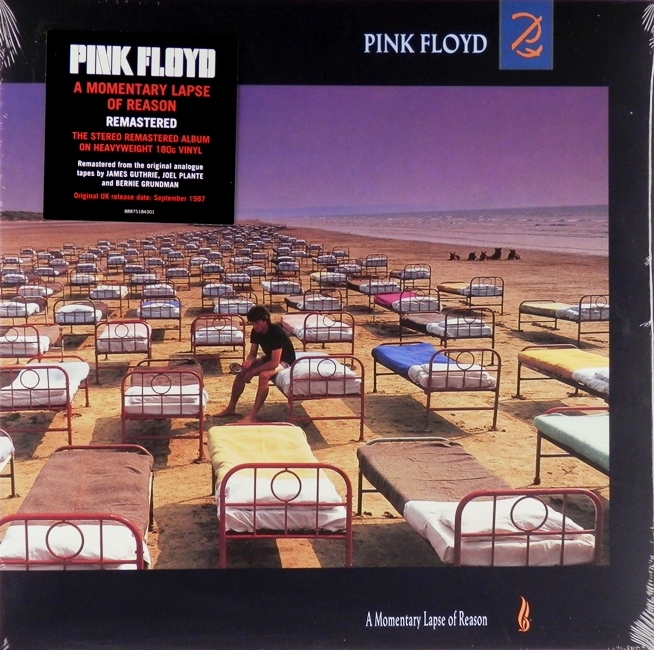 виниловая пластинка A Momentary Lapse of Reason