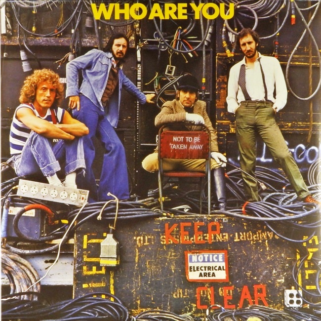 виниловая пластинка Who Are You