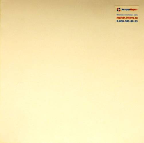 виниловая пластинка I have returned