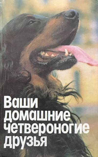 книга Ваши домашние четвероногие друзья