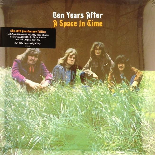 виниловая пластинка A Space in Time (2 LP)