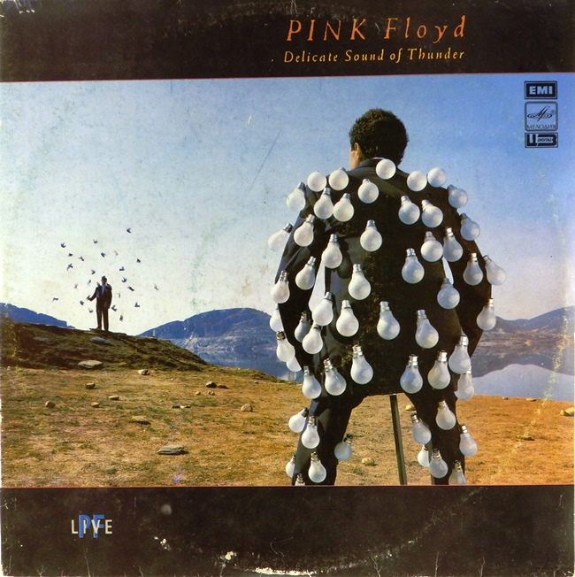 виниловая пластинка Delicate Sound of Thunder (2 LP) *