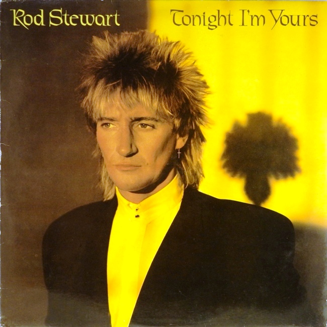 виниловая пластинка Tonight I'm Yours (отличный звук, обложка на четыре с минусом)