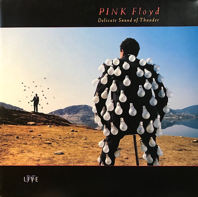 виниловая пластинка Delicate Sound of Thunder (2 LP)