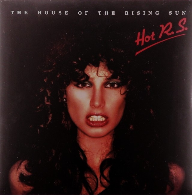 виниловая пластинка The House of the Rising Sun // Лидер продаж!