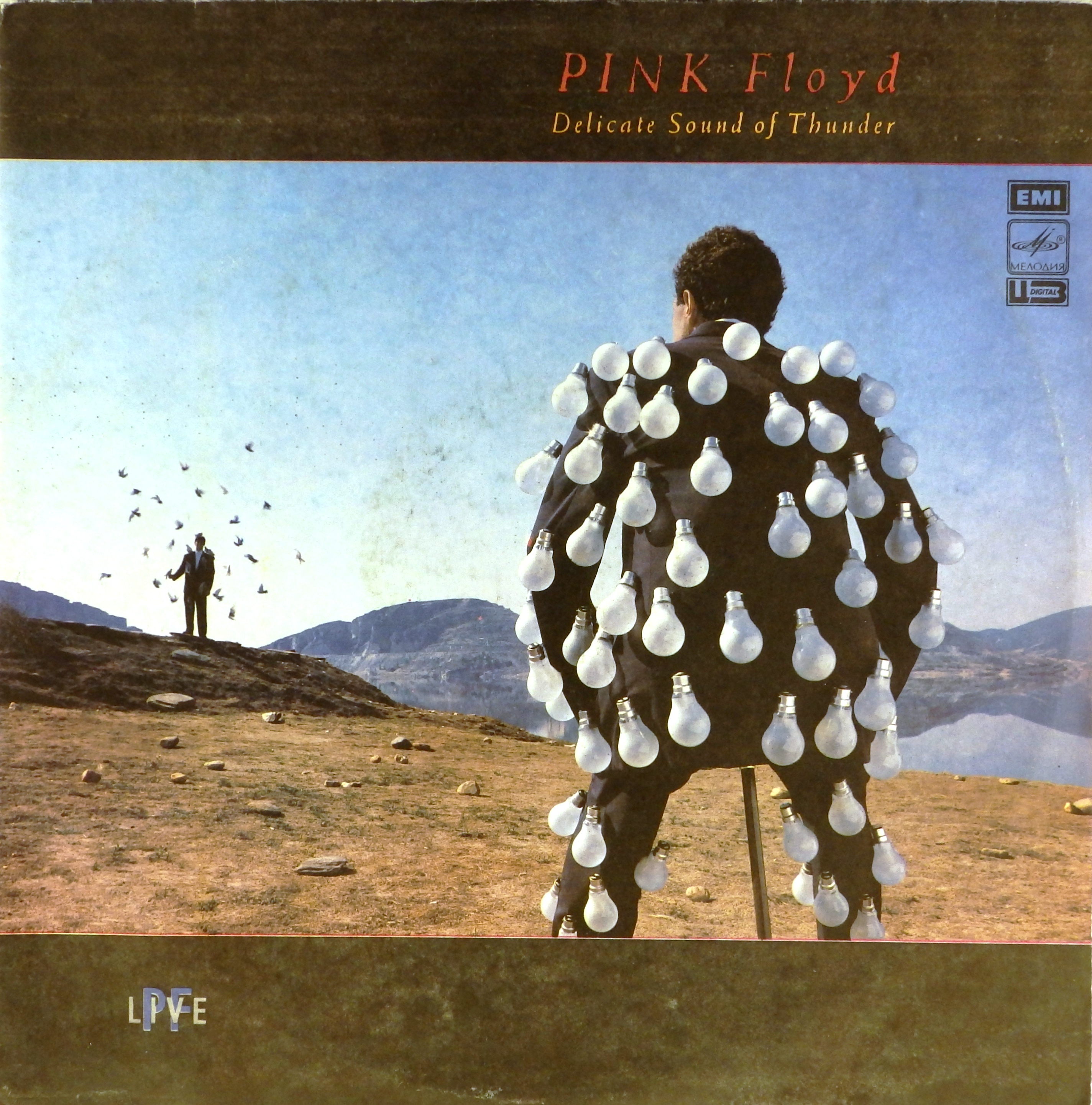 виниловая пластинка Delicate Sound of Thunder (2 LP) (хороший звук)